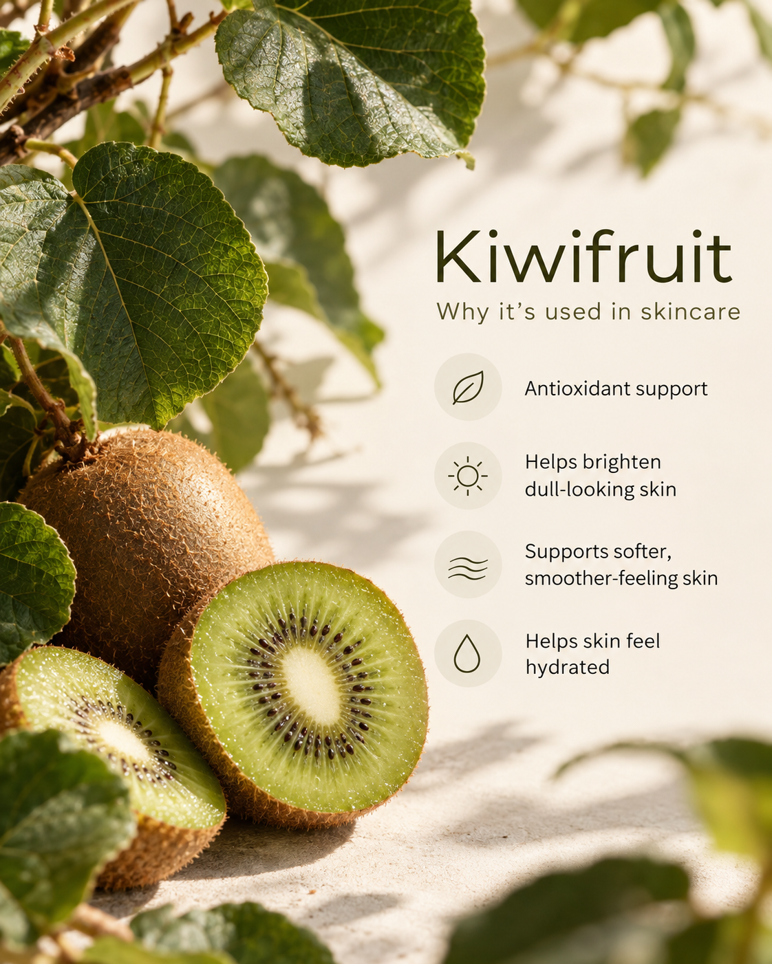 A styled skincare marketing graphic featuring kiwi fruit on the left with green leaves and a sliced kiwi showing its green flesh and black seeds, alongside text on the right that reads 'Kiwifruit' and lists skincare benefits such as antioxidant support, brightening, soothing, and hydration.