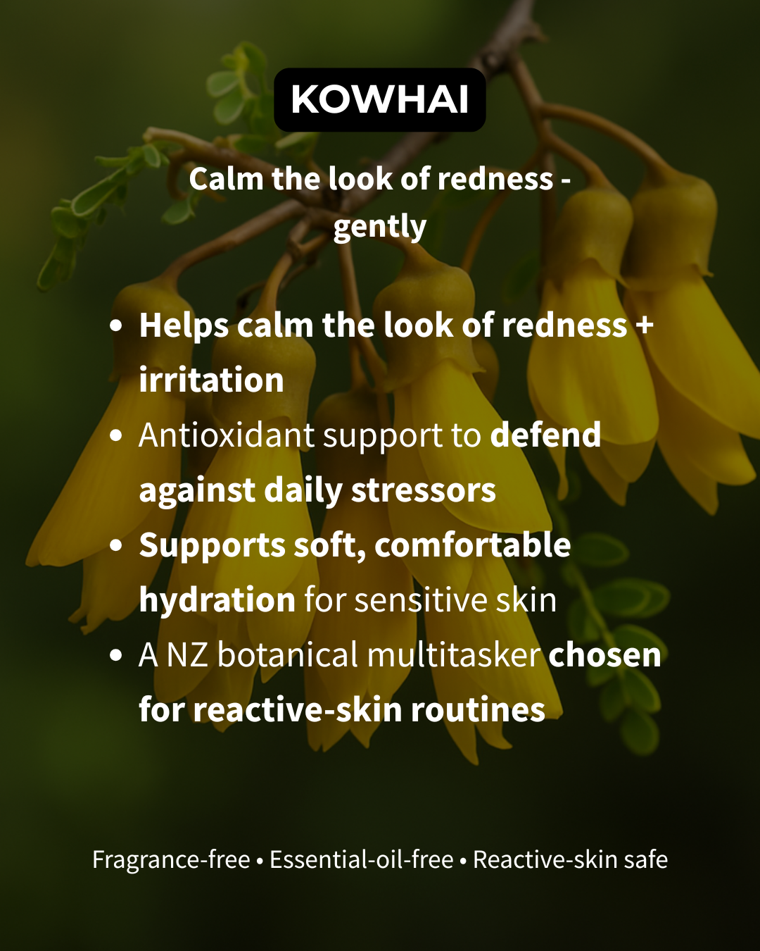 REPLENISH - Hydrate + Comfort Serum (Menopause + Hormonal Skin)