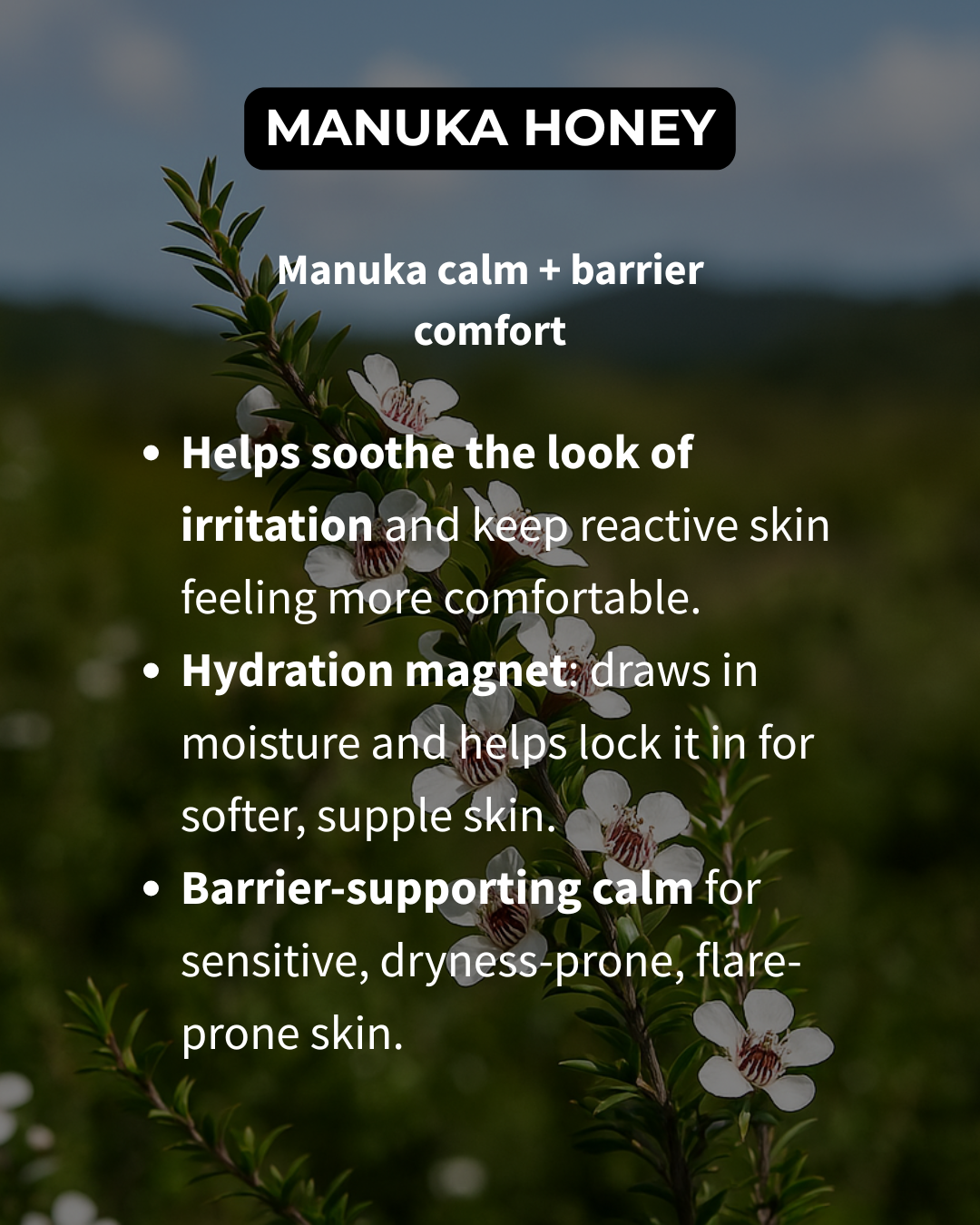 BEE CALM – Calm + Soothe Serum (Redness + Blemish-Prone Skin)