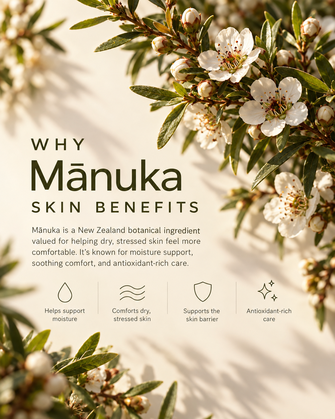 Bee Calm - Calming Serum for Dry + Breakout-Prone